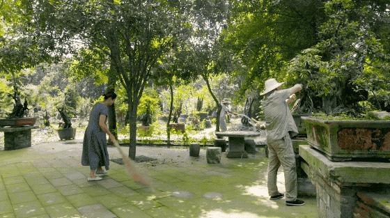 人间仙境般的世外桃源庭院,原始森林自建世外桃源