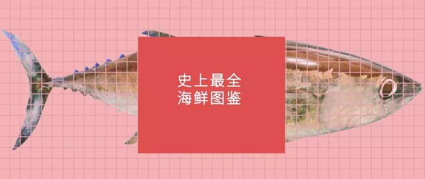 开海特价海鲜,开海的海鲜视频