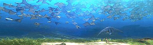 去哪个马尔代夫好玩,度假胜地马尔代夫