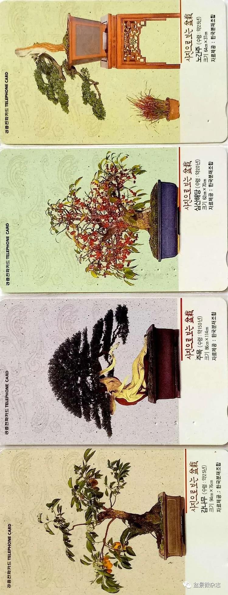 鐩嗘櫙鑱旂郴鐢佃瘽,鐩嗘櫙鑱旂郴鐢佃瘽鍙风爜