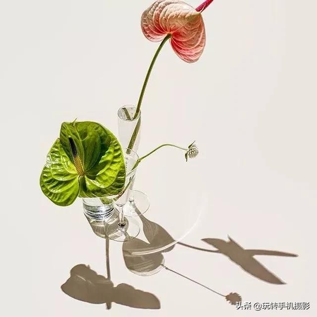 在家拍摄100个创意技巧,在家拍摄100个创意摄影方案