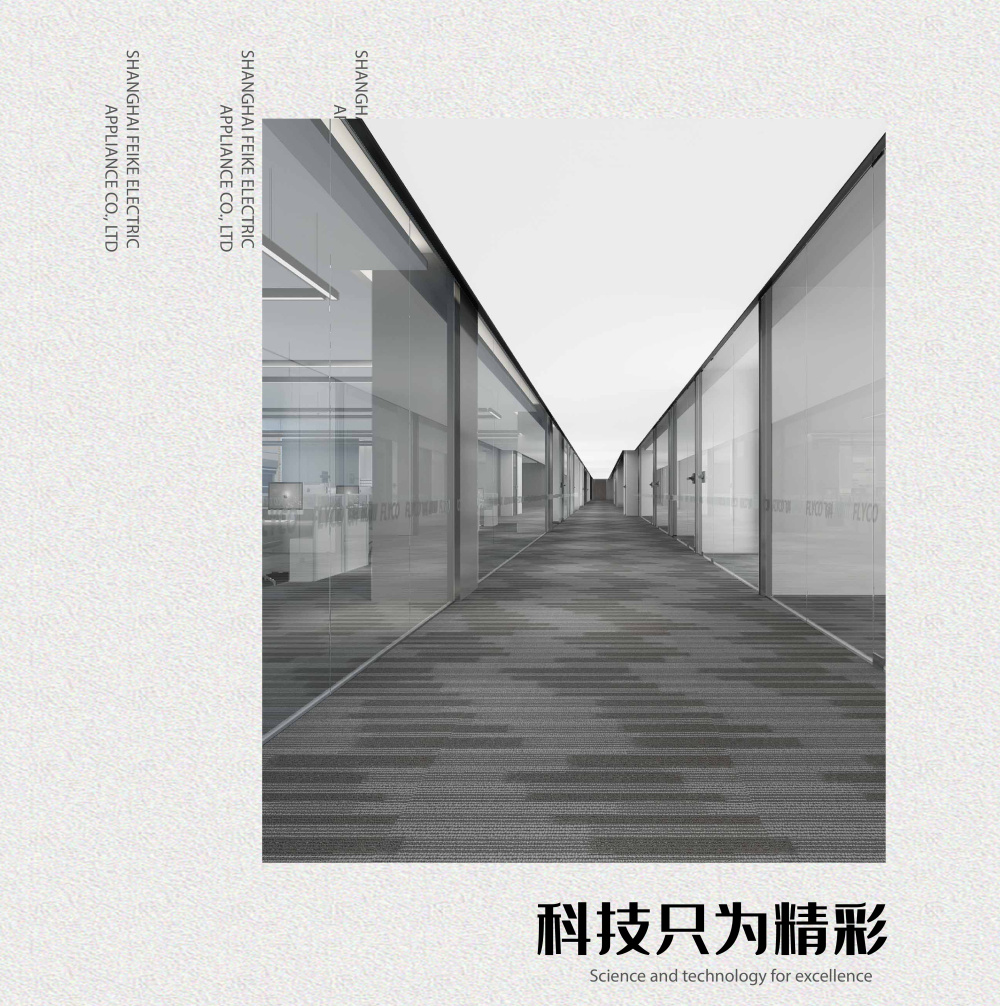 上海飞科电器有限公司章程,上海飞科股份有限公司