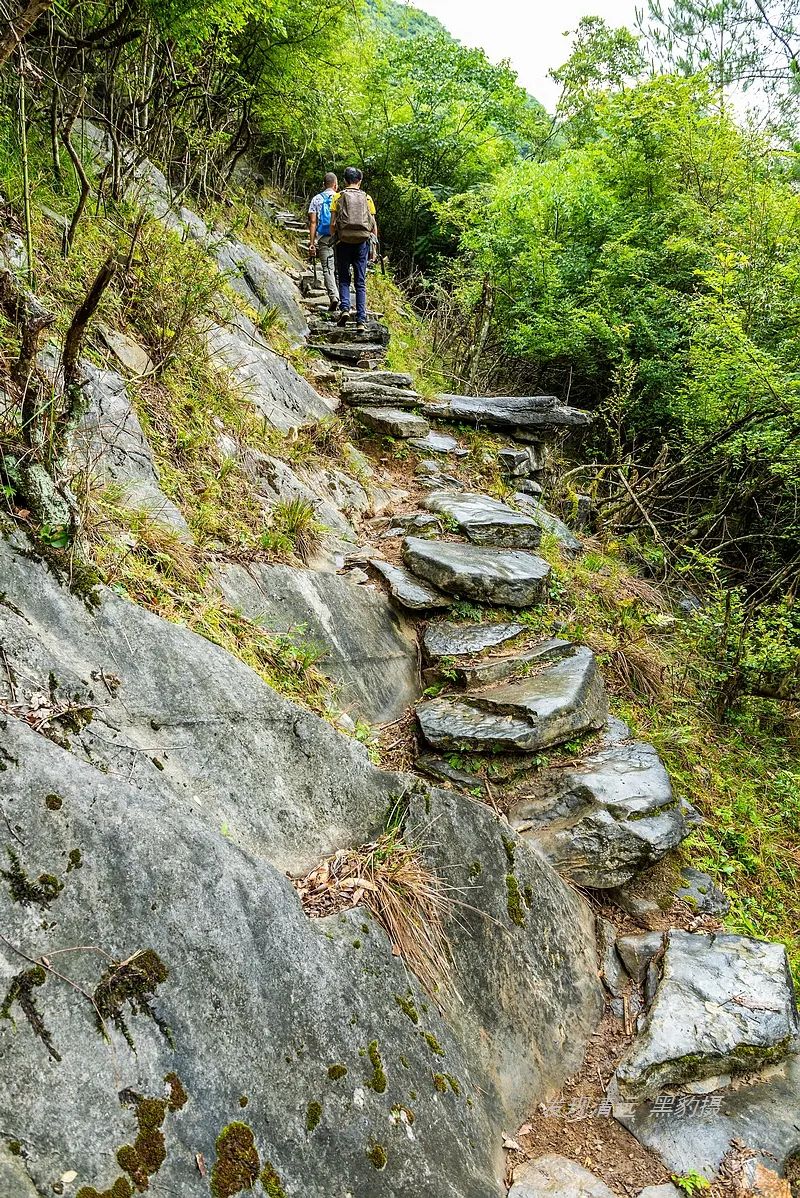 徒步穿越秦岭无人区,徒步穿越喀斯特森林