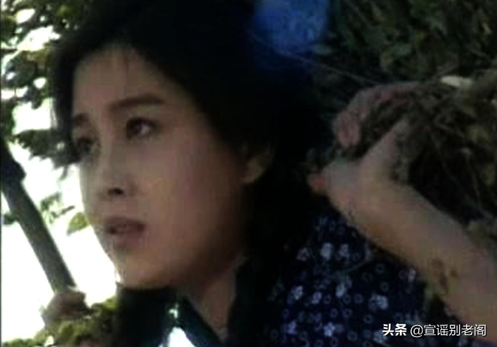 我爱我家经典片段感悟,我爱我家经典场面