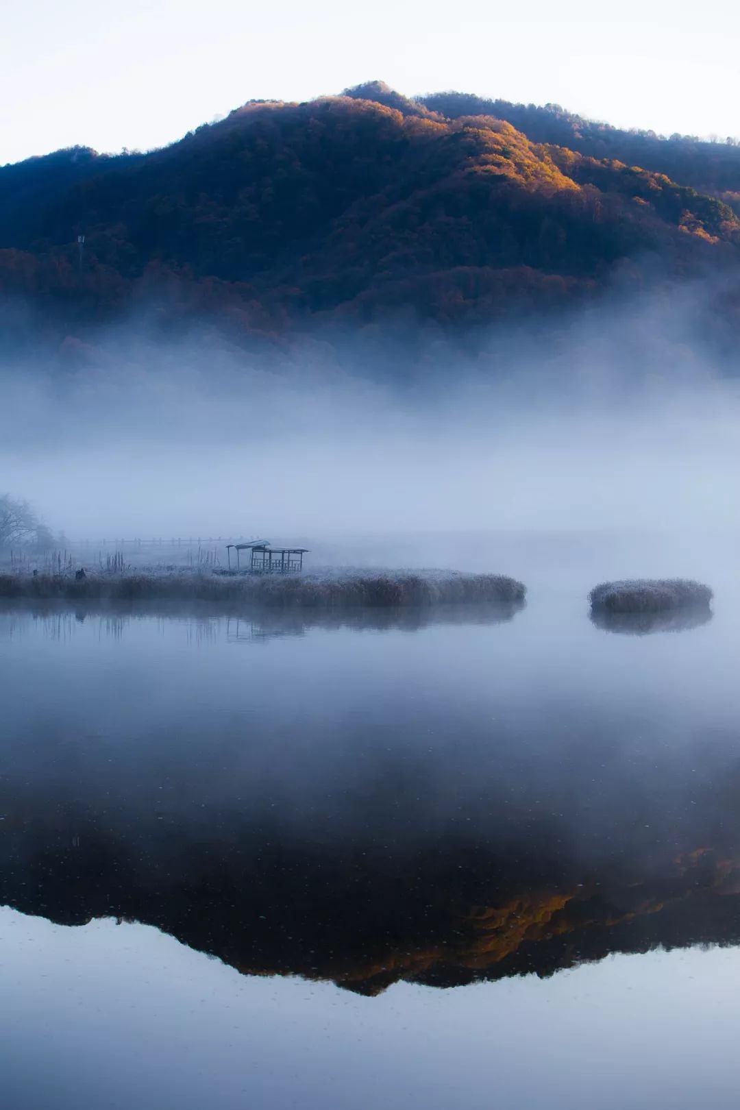 湖北深秋自驾游景点推荐,秋色彩林川西自驾