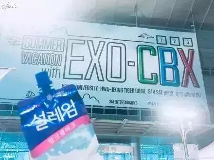 防弹solo应援,exid应援现场版