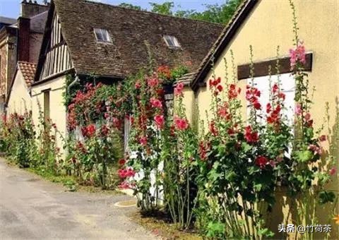 拥一颗素心守一方静谧什么意思,用一颗素心守一方静谧