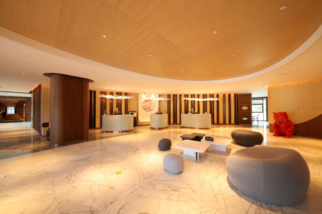 端午节粽享美好,端午节粽享温情