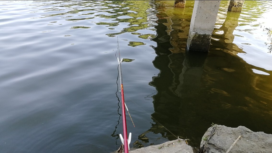 如何正确半水调漂,新手什么是半水调漂不带钩