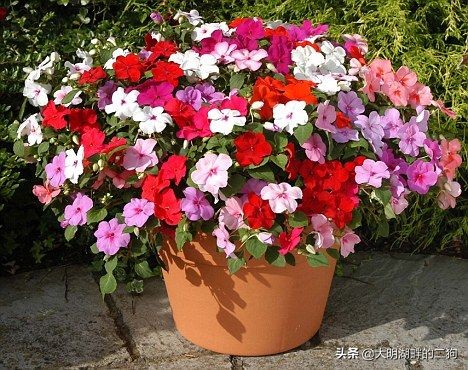 二战时期德国有多少黑科技,二战时德国有哪些黑科技