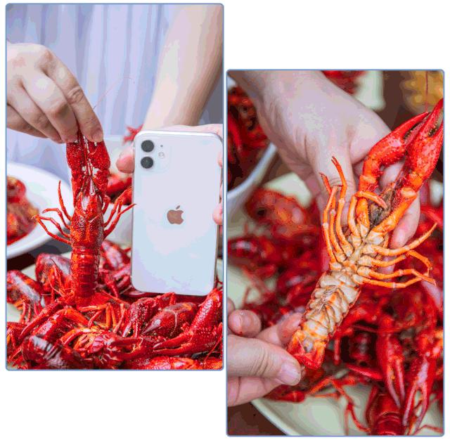 西安靓靓蒸虾免单,靓靓蒸虾免单活动