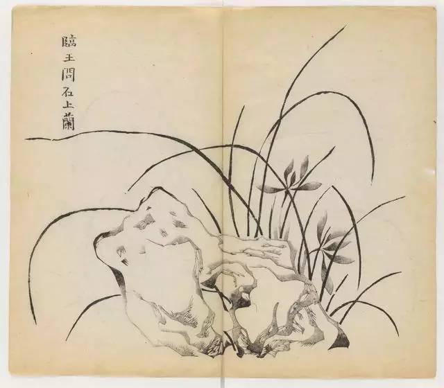 毛笔怎么画兰草,怎么画兰花和书法