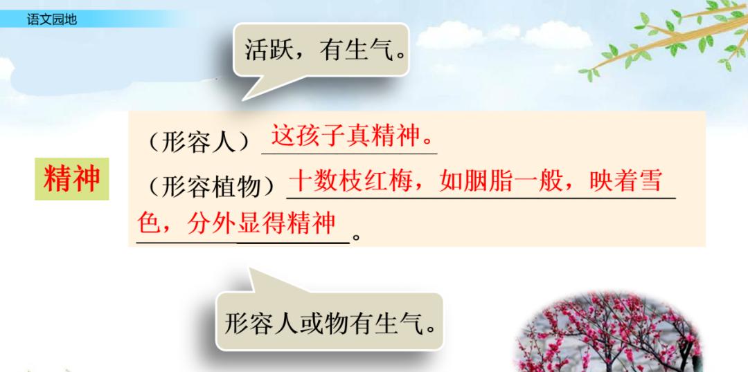 五年级上册语文园地八讲解课件ppt,部编五年级语文上册必考知识点