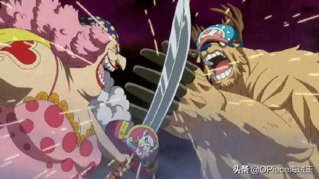 海贼王里面最强的几个动物系果实,海贼王中各个果实能力者