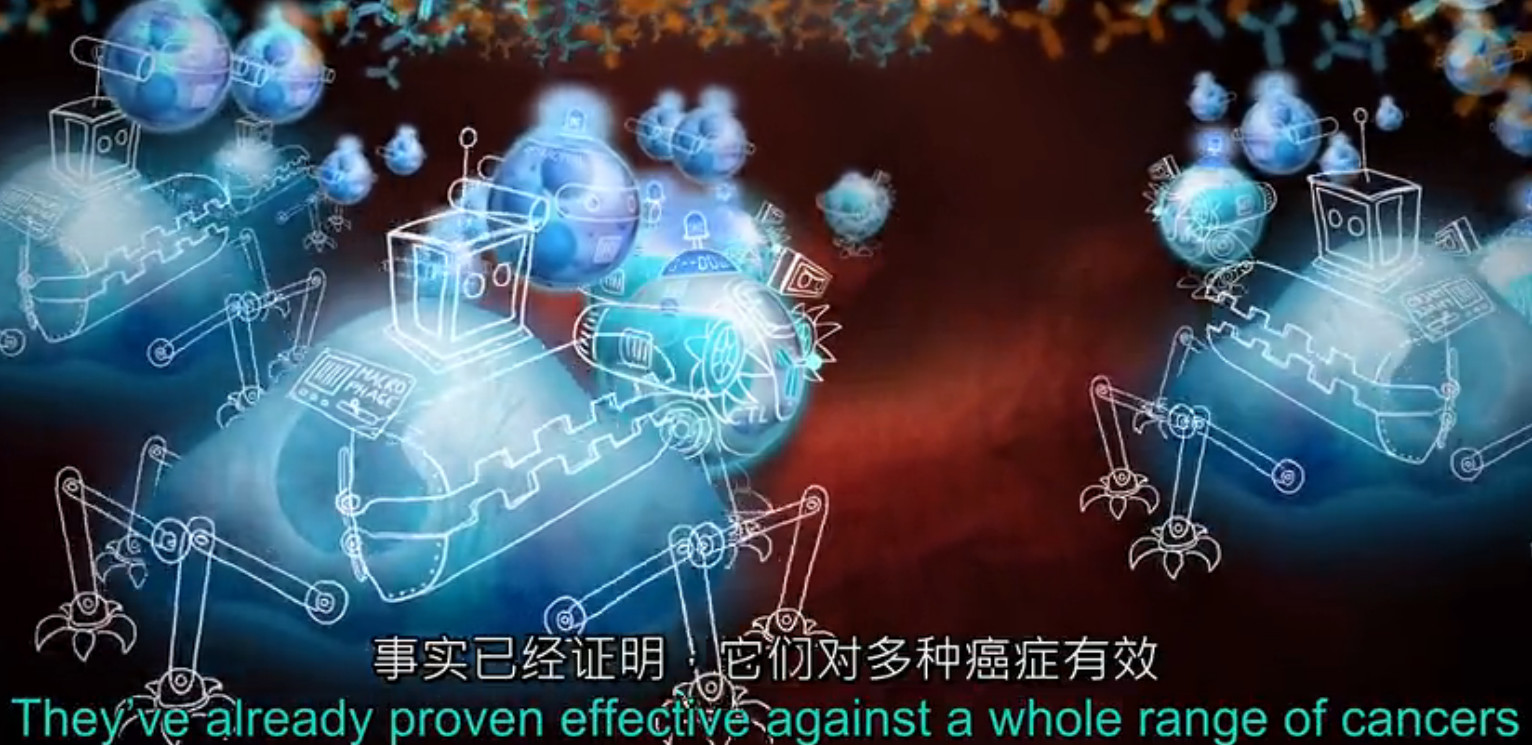 pd1肿瘤免疫治疗现状,什么是pd1免疫治疗费用