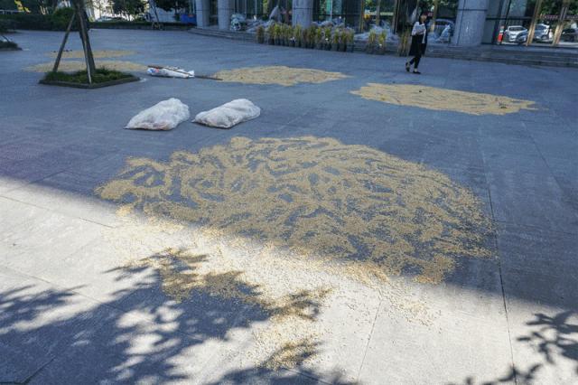 全国十大奇葩高校,奇葩高校盘点