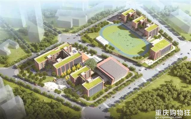 两江新区小学怎么样,两江新区童心小学