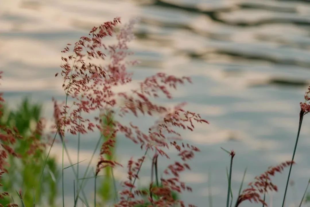 深圳看海去哪里比较好,深圳出地铁就看海的地方是哪里