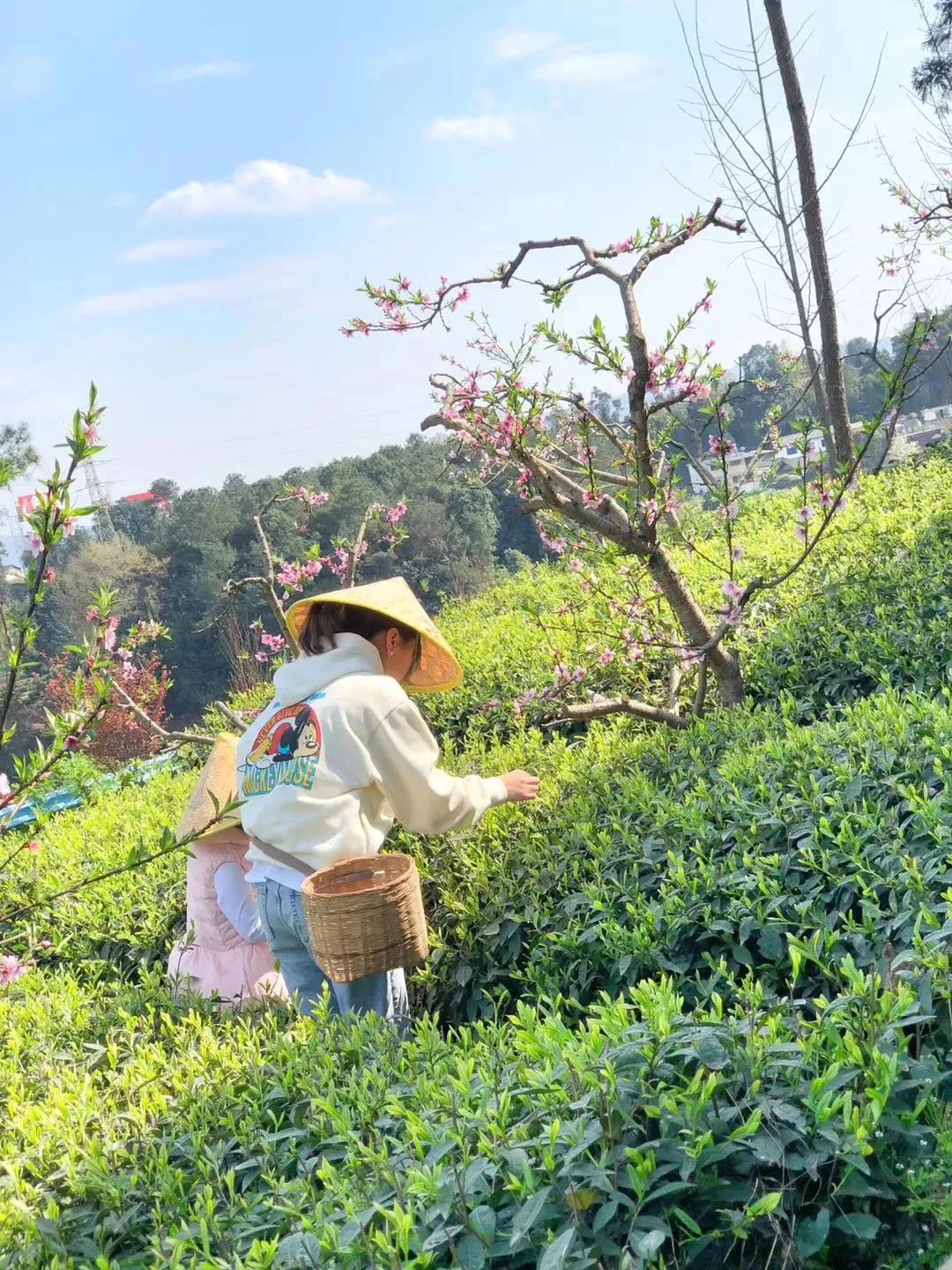雅安上里古镇最好的民宿推荐,原地过年品味年味