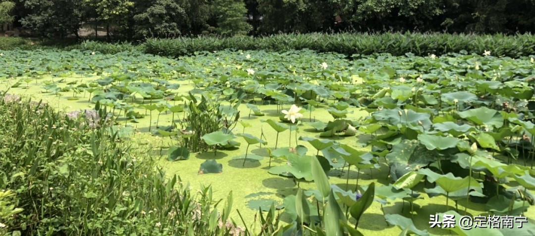 南宁狮山公园晚上开放时间,南宁狮山公园近期有什么玩
