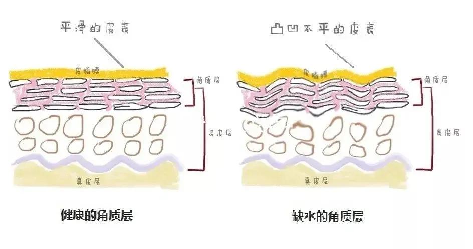 能去鸡皮肤的身体乳测评,身体乳美白去鸡皮祛痘测评