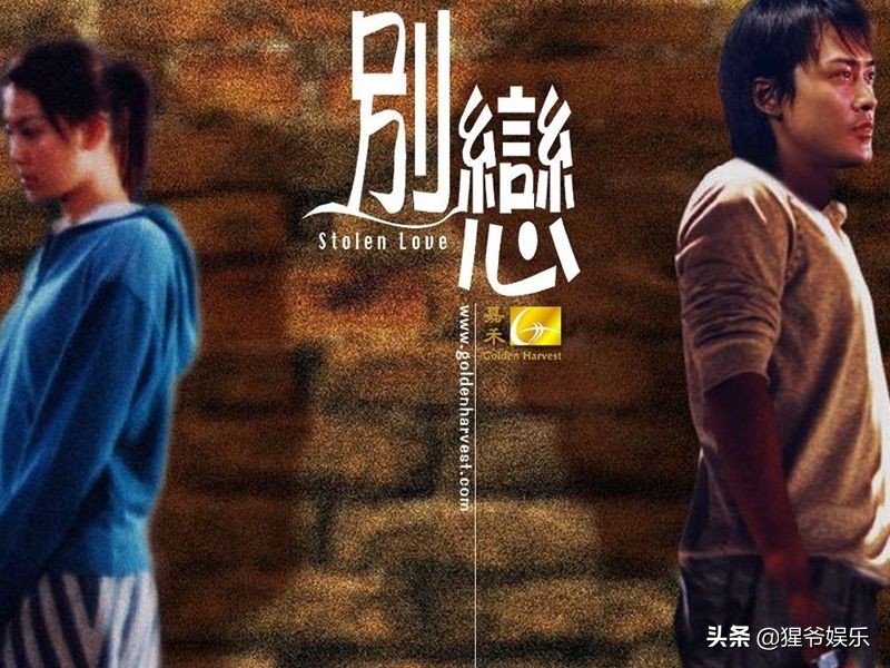 李彩桦离婚电视剧,李彩桦离婚后近况