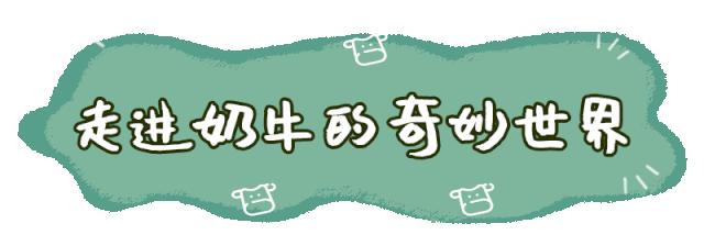世界花卉大观园遛娃好去处,大观园遛娃攻略