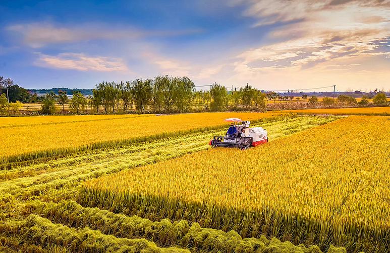 华夏乎!运城兮|一位资深旅游人心中的运城!