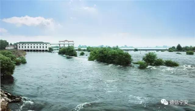 农业农村部、财政部公布！宁安成为首批20个国家现代农业产业园之一