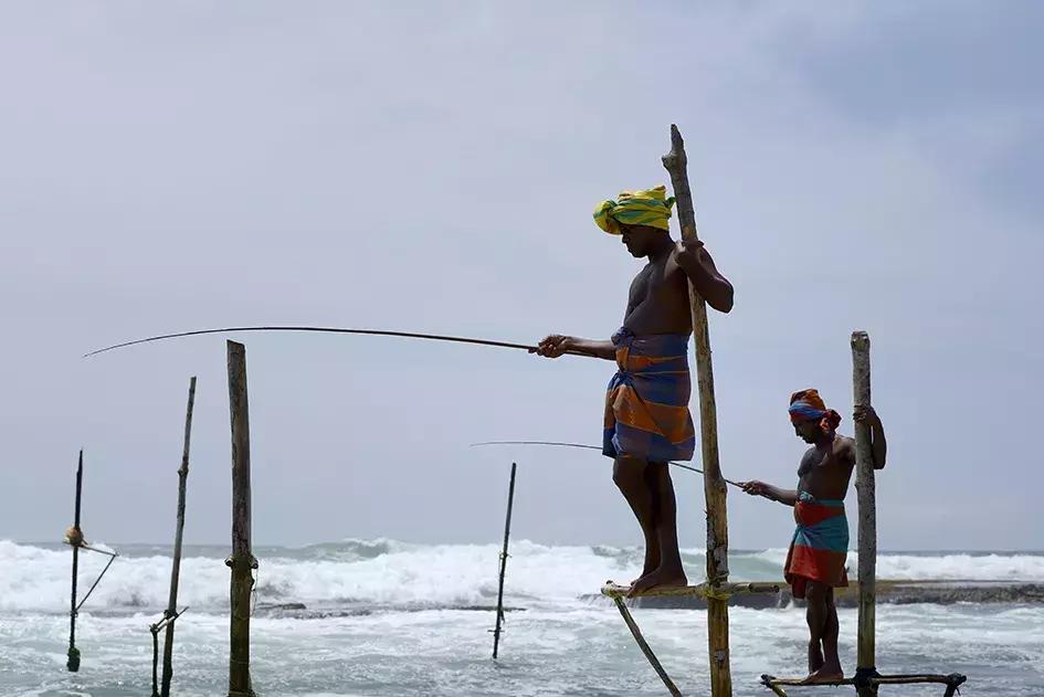 印度洋孕育了风情万种，看看庄培芳“微笑的斯里兰卡”就能感受到