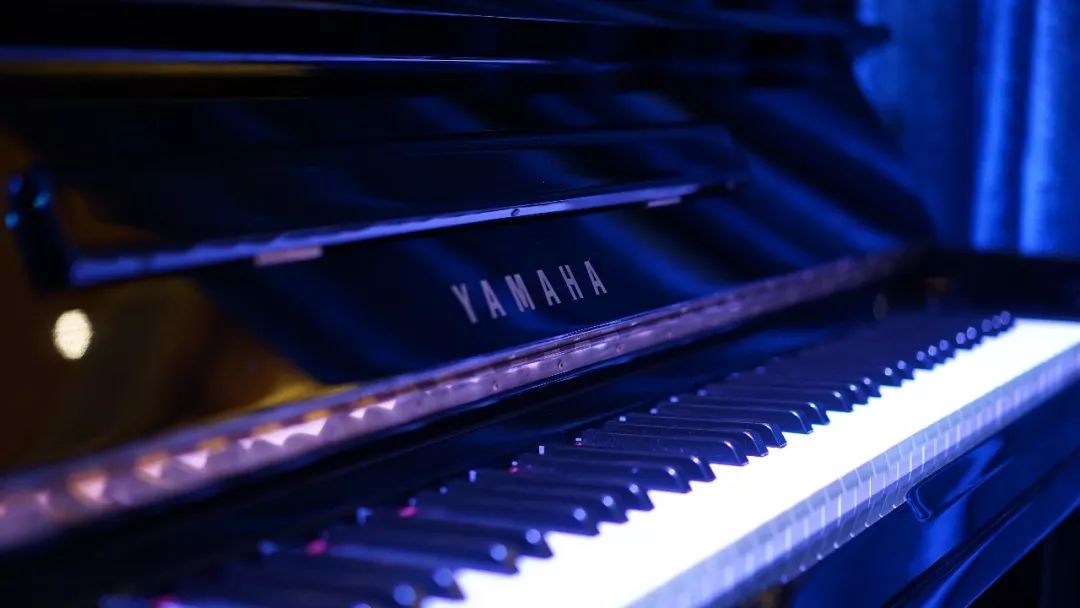 深圳轻奢酒窖,深圳日式居酒屋日料