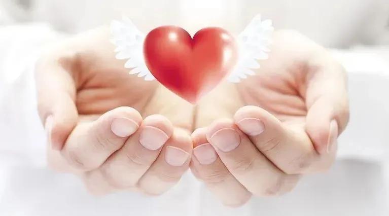 怎么知道自己是凶险性前置胎盘,产科医生胎盘有创伤后续完整版