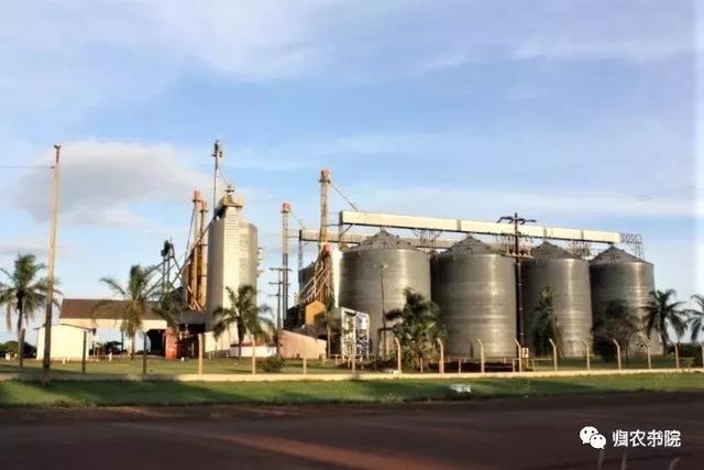 中国年年进口的大豆，为何让巴拉圭从富饶变得死寂？