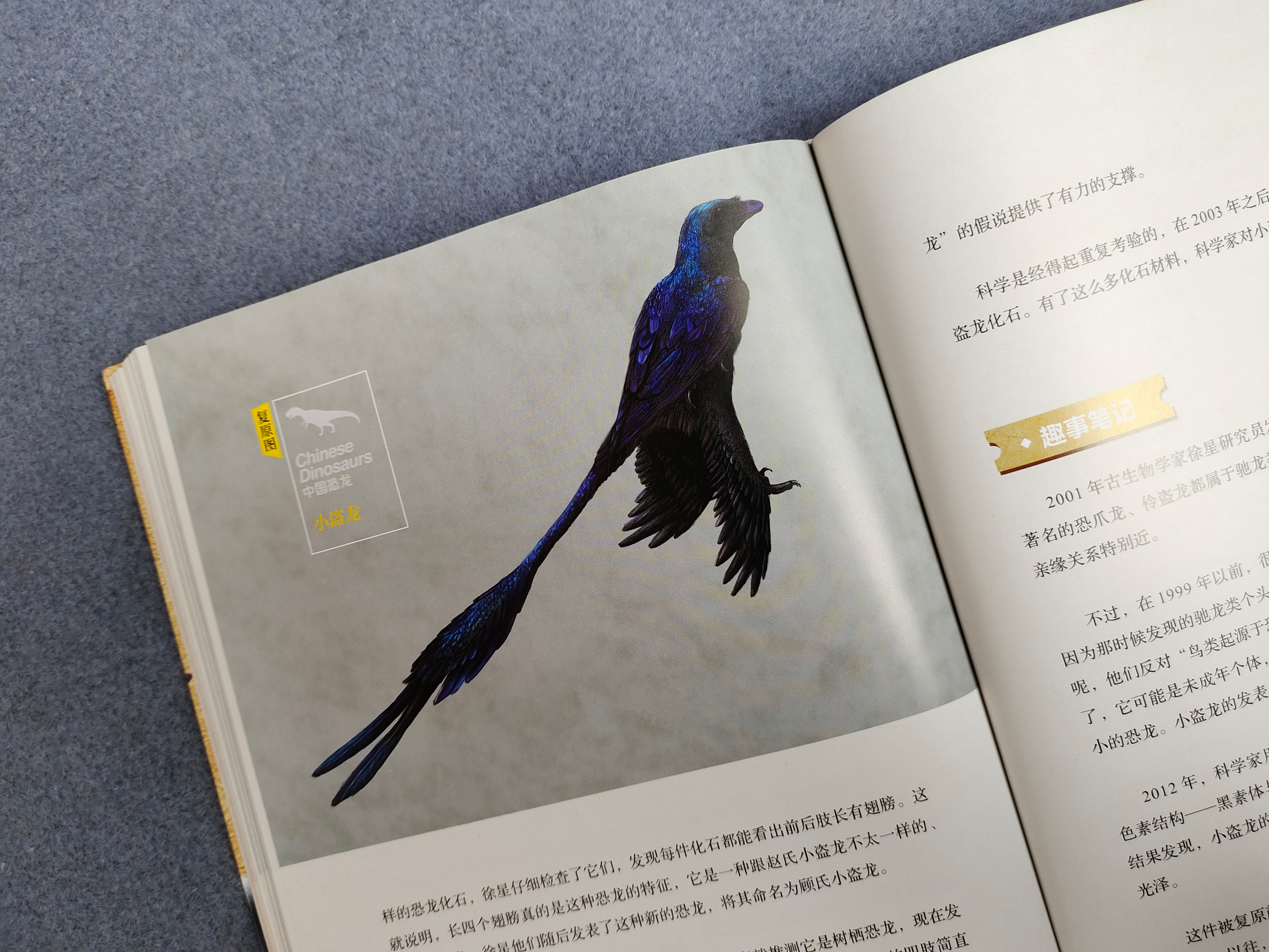 恐龙百科全书恐龙世界的无穷奥秘,世界上最全的恐龙百科全书