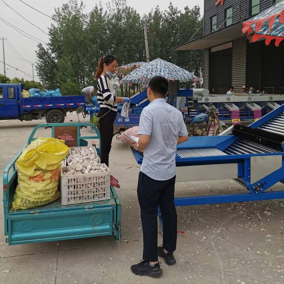 真情服务助“蒜季”，播洒惠农“及时雨”