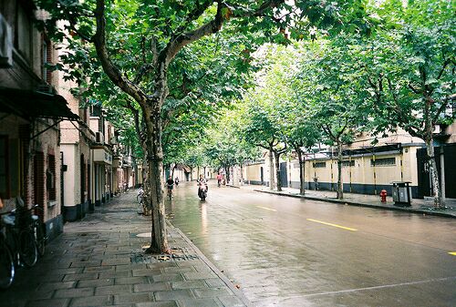 让每朵鲜花都艳丽：西安五十五中师生共创的校园歌曲教育叙事