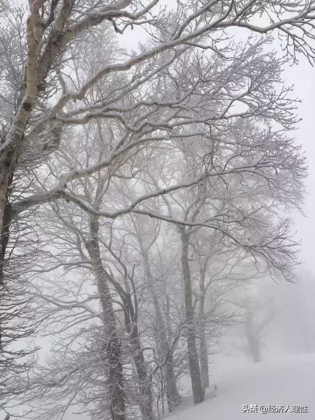 日本一个岛国为什么经济这么强,日本一个岛国为什么如此强