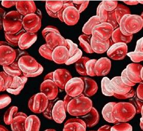 骨穿疼吗,骨穿麻不麻醉