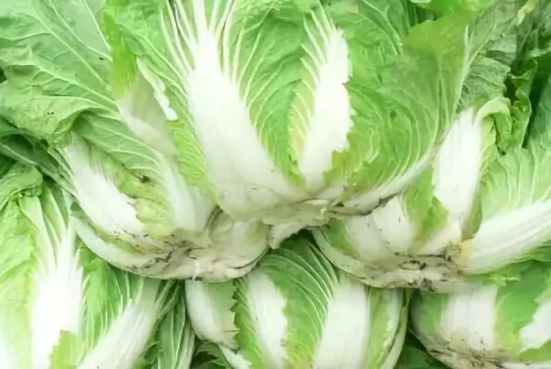 全新疆著名的特产,盘点十大新疆的特产