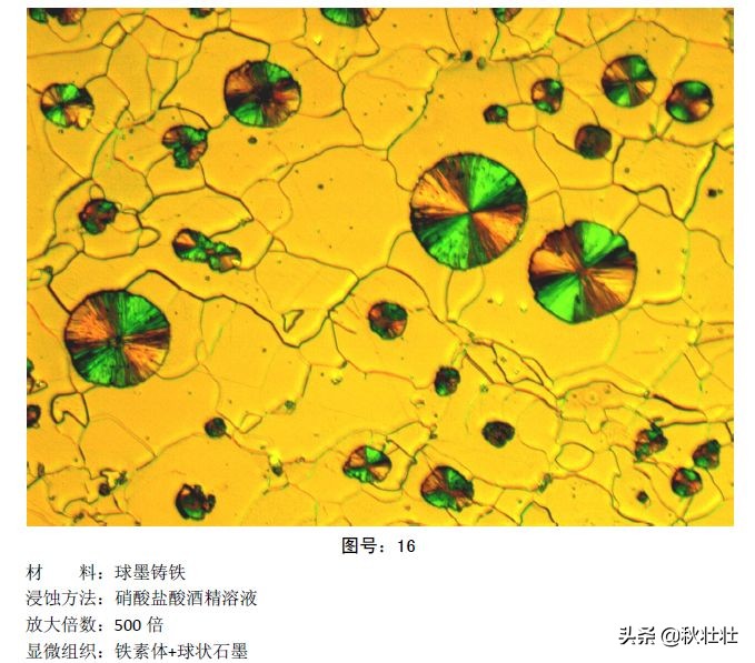 马氏体和奥氏体金相图片,马氏体和珠光体金相区别