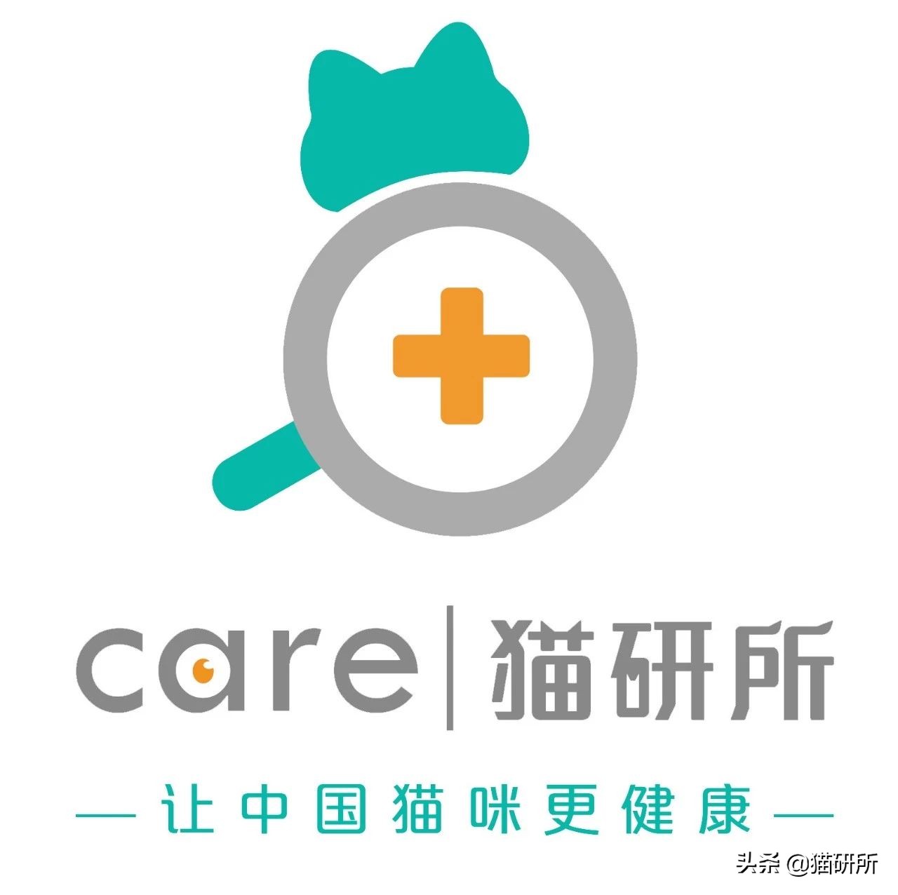 如果捡到小奶猫怎么办,捡到小奶猫要怎么处理