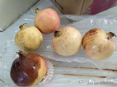 在网上买水果有哪些坑,在网上买水果划算吗