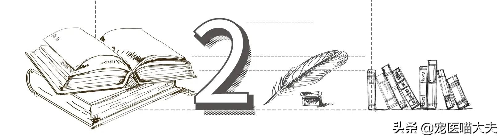 猫狗大战猫和狗打架,猫狗大战catsanddogs