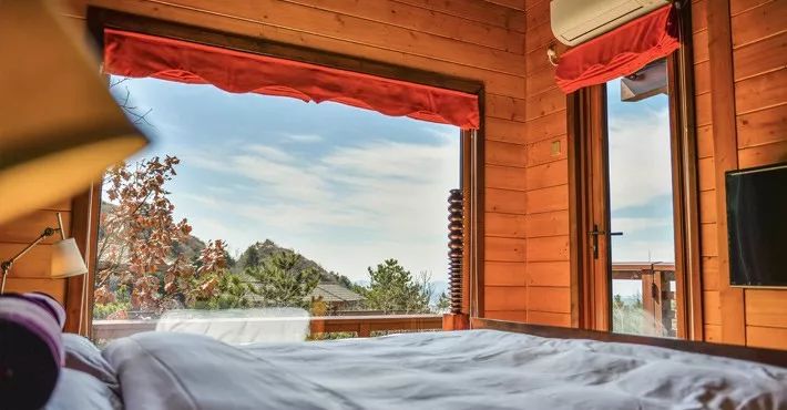 真正的森林树屋,这些树屋满足你对森林的所有幻想