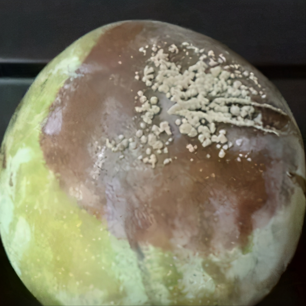 李子白粉病和灰霉病区别,李子出现褐腐病怎么办