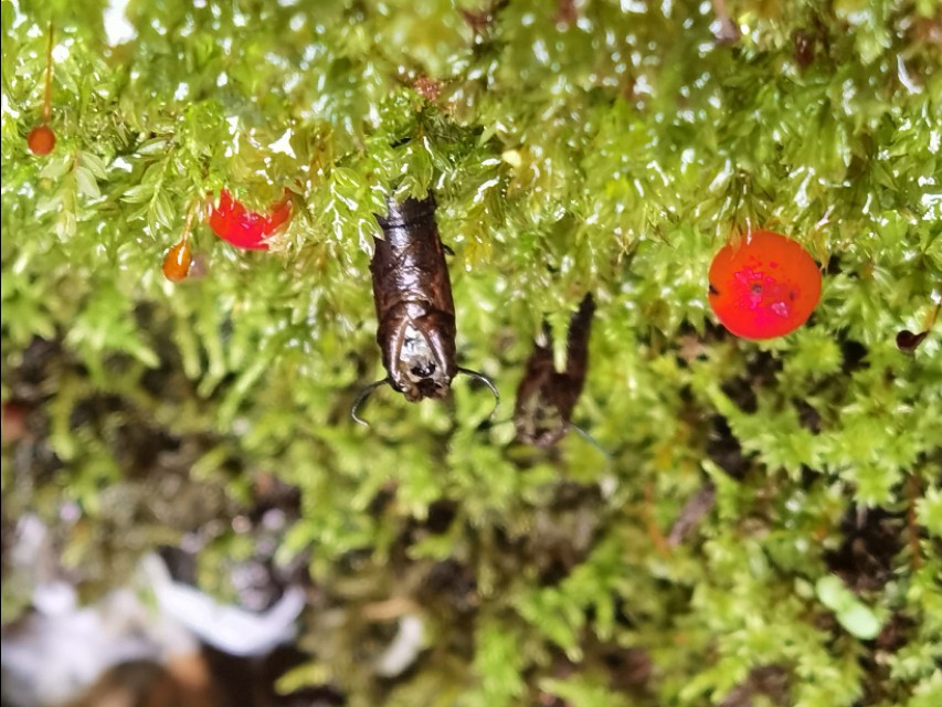 驼梁‖一处来了就会让你爱上的地方