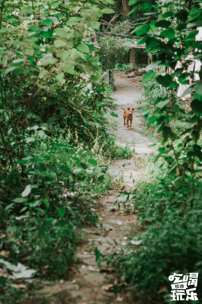长沙岳麓区适合一个人去的地方,五一长沙岳麓区哪里好玩