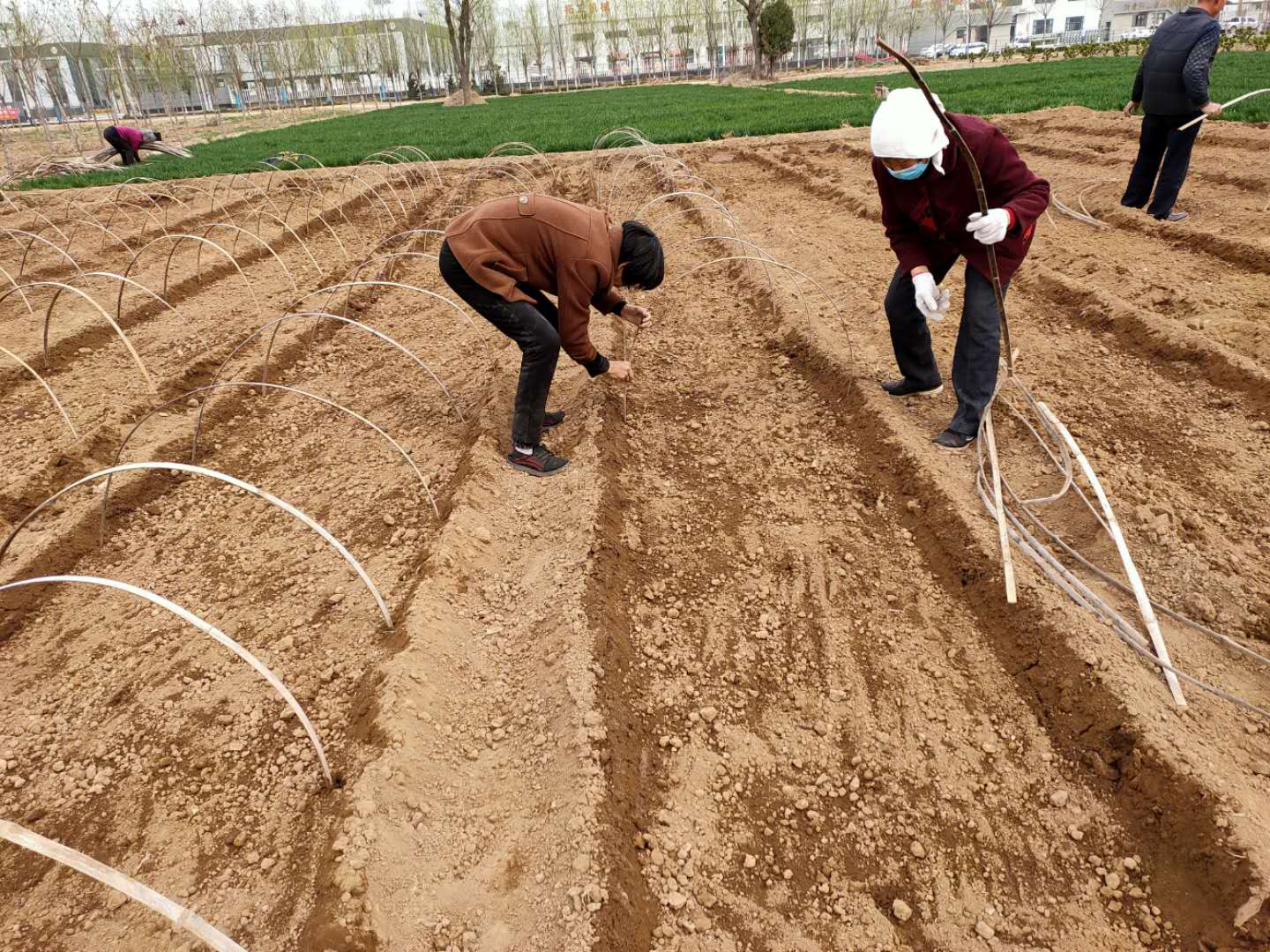 鸡泽龙泉疫情防控,鸡泽县疫情防控