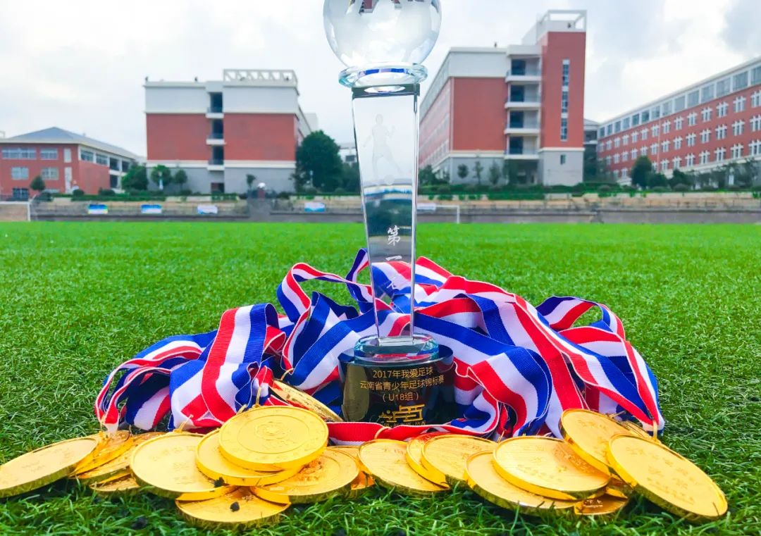 多元升学路径助力孩子圆梦名校,多元升学途径与学业规划