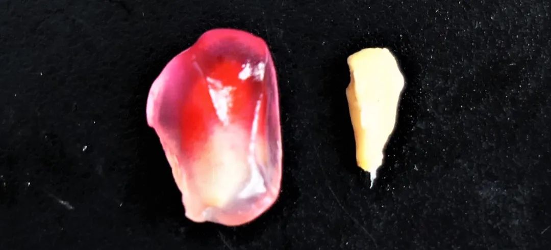 吃石榴不吐皮,吃石榴不吐籽的石榴